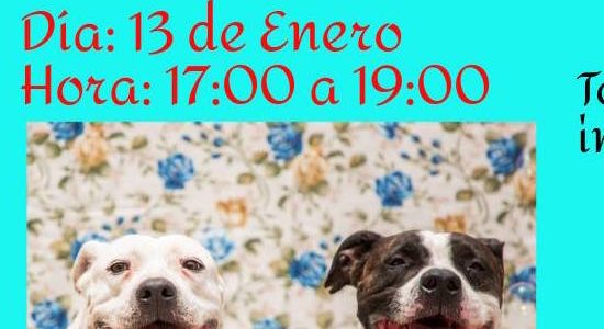 Charla solidaria sobre Perros Potencialmente Peligrosos