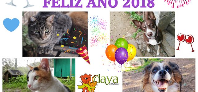 Gracias por un año más
