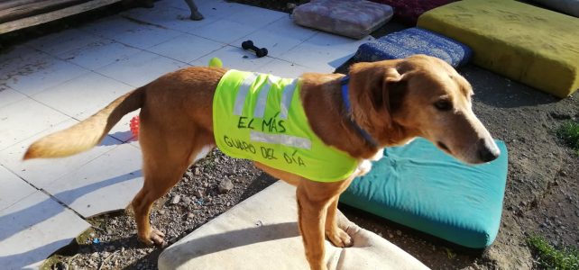 Bruc, el jefe de refugio, ¡el más guapo del día!