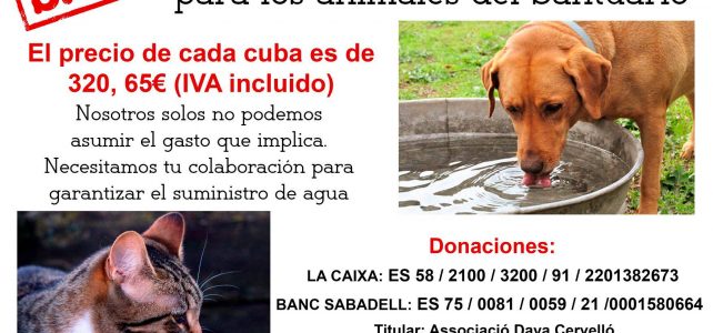 Necesitamos agua para los animales del Santuario